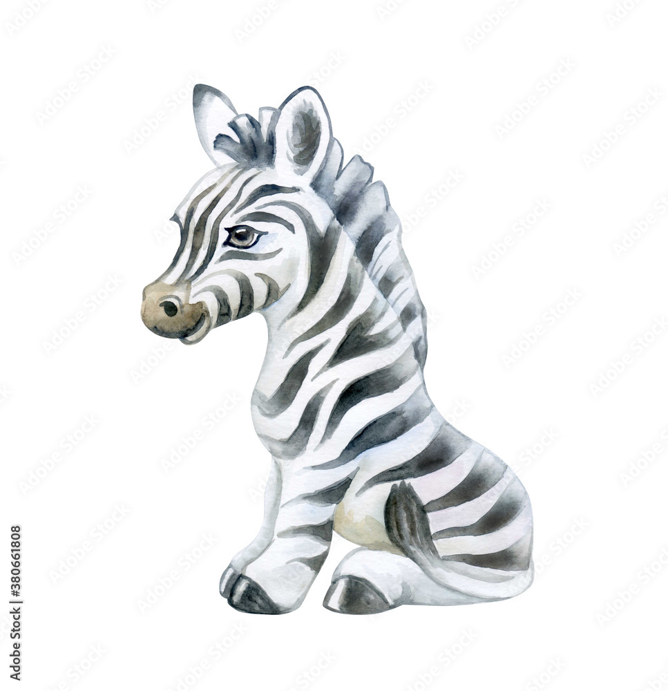 Cute zebra isolated on white background. Zebra baby. African animals. Safari. Illustration. Template. Hand drawn. Greeting card design. Clip art.