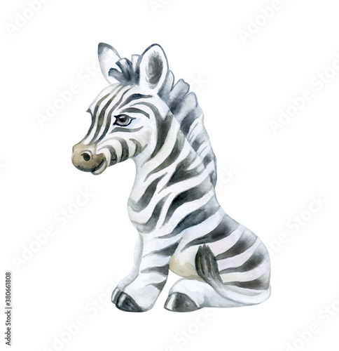 Cute zebra isolated on white background. Zebra baby. African animals. Safari. Illustration. Template. Hand drawn. Greeting card design. Clip art.