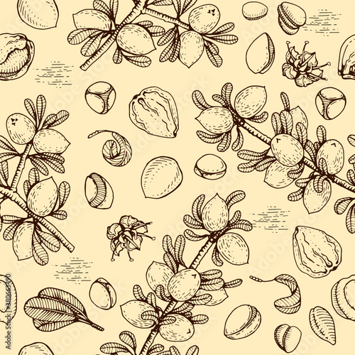 Seamless Pattern with branch argan tree with fruits, nuts argans, leaves, flower argans Detailed hand-drawn sketches, vector botanical illustration.
