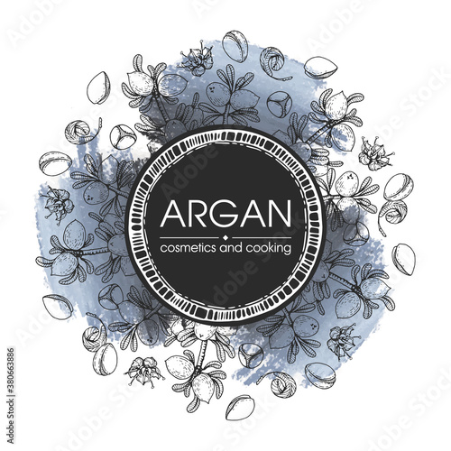 Frame with branch argan tree with fruits, nuts argans, leaves, flower argans Detailed hand-drawn sketches, vector botanical illustration.