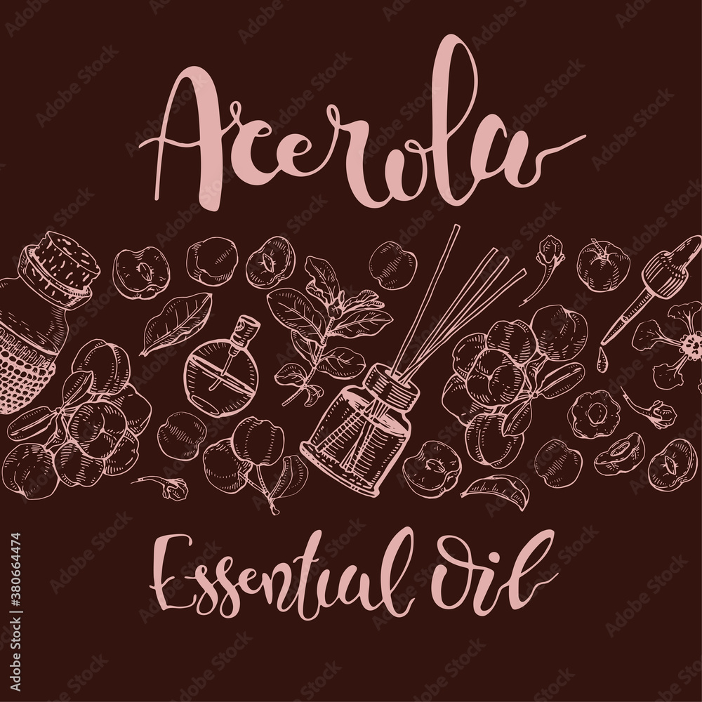 Background with branch acerola cherry, fruit, flower and glass bottle with oil and accessories . Detailed hand-drawn sketches and lettering, vector botanical illustration.