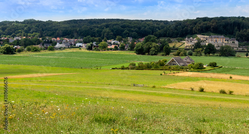 Summer fields in Maastricht 