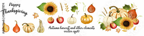 watercolor autumn harvest and thanksgiving elements collection. Editable vector elements set