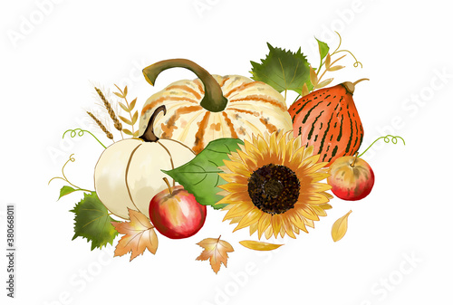 Autumn still life with apples, pumpkins, gourd and sunflower. Watercolor fall elements vector isolated.