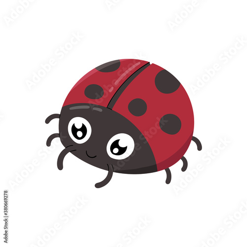 Cute ladybugs isolated