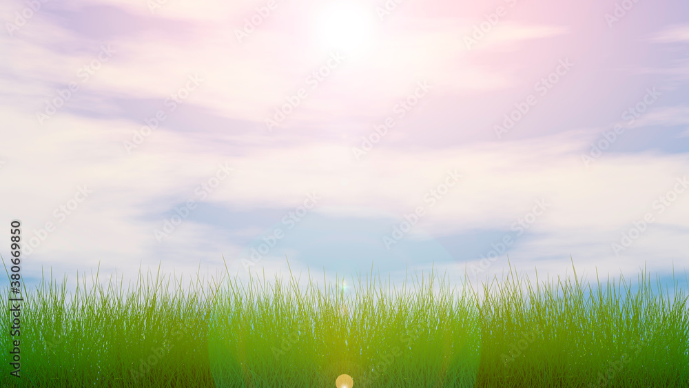 Fototapeta premium Green Grass, Blue Sky with a Clouds and Sun. 3D Render
