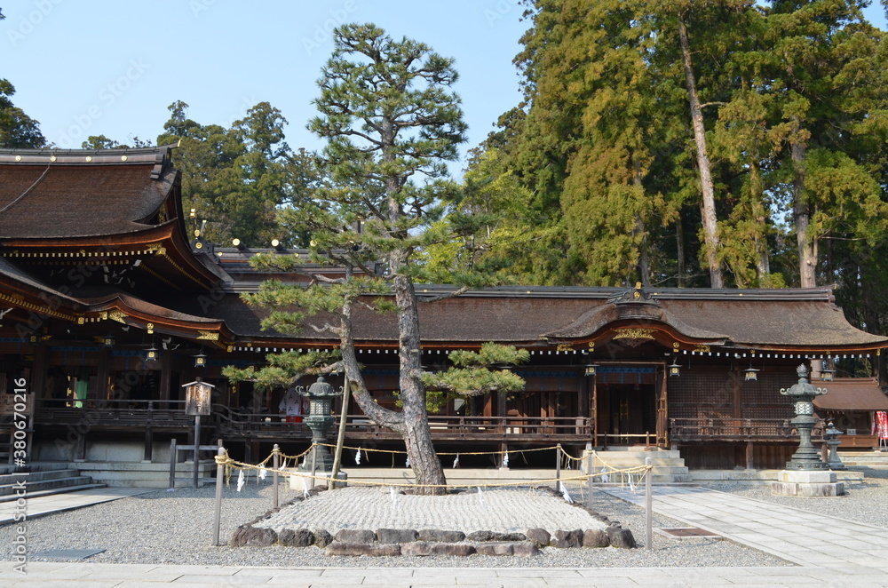 【滋賀県】多賀大社・境内