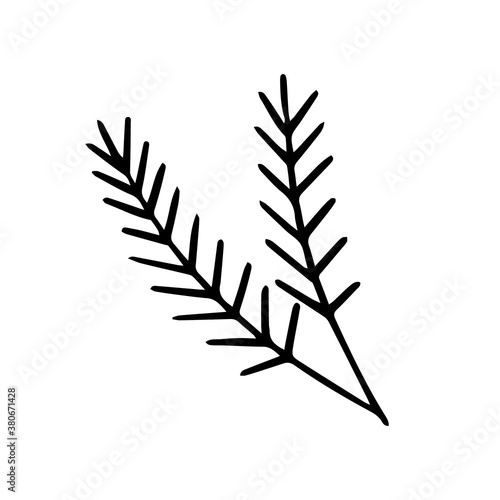 Fototapeta Naklejka Na Ścianę i Meble -  Spruce tree branch. Christmas. Vector illustration isolated on a white background