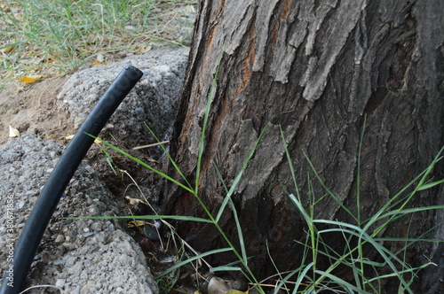 old axe in the woods