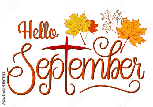 Handwritten, hello september, lettering message. Autumn welcome quote with color leaves background. Modern lettering. Hello September design for cards, banners, posters.