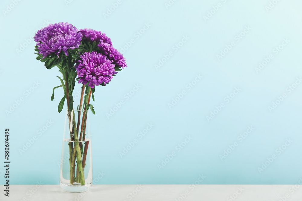 Obraz premium Beautiful asters in vase on table against light blue background, space for text. Autumn flowers