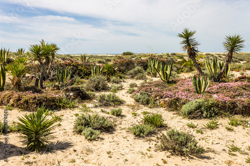 Tavira, Portugal. The Ilha de Tavira, an island in the Ria Formosa natural park