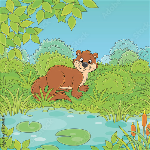 Brown river otter in grass ...