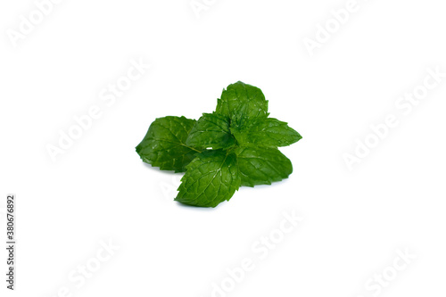 Mint leaves isolated on white. Mint Clipping Path. Professional food photography