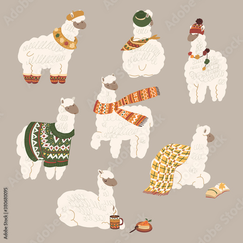 Winter Christmas llama alpaca animals cozy hand drawn vector illustrations set