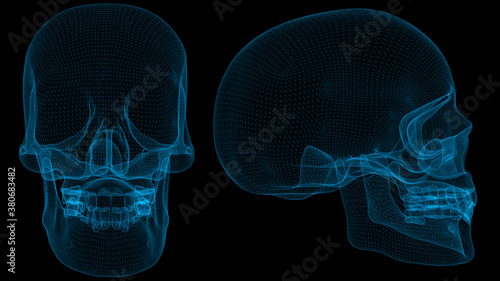 Skull 3d wireframe with thin blue lines. Anatomical futuristic hologram on black background. 3d illustration