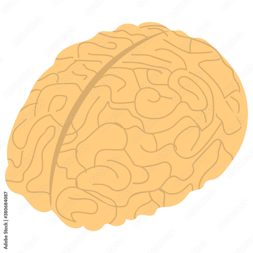 Human brain icon isolated on white background
Human brain icon isolated on white background