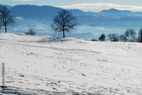 Vista sulla Valbelluna una bella giornata invernale photo