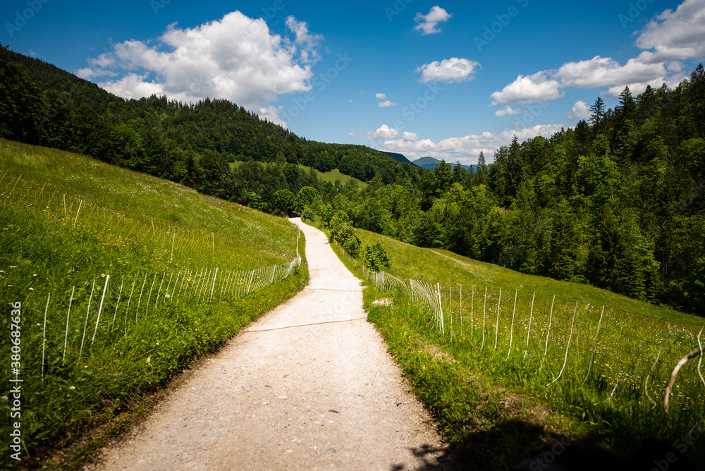 Mountain landscape with hiking trail and view of beautiful forest and a blue cloudy sky, Wimbachklamm, Berchtesgaden, Bavaria, Germany Mountain landscape with hiking trail and view of beautiful forest and a blue cloudy sky, Wimbachklamm, Berchtesgaden, Bavaria, Germany