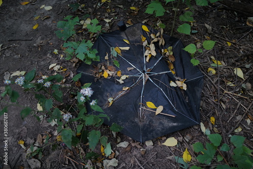Sept 24, 2020 broken umbrella found in Prospect Park, Brooklyn, New York City, USA. © CKY
