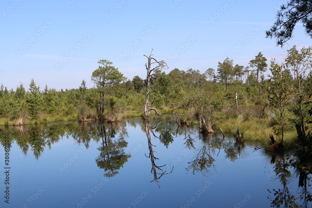 Idyllische Landschaft im Pietzmoor in der Lüneburger Heide Idyllische Landschaft im Pietzmoor in der Lüneburger Heide
