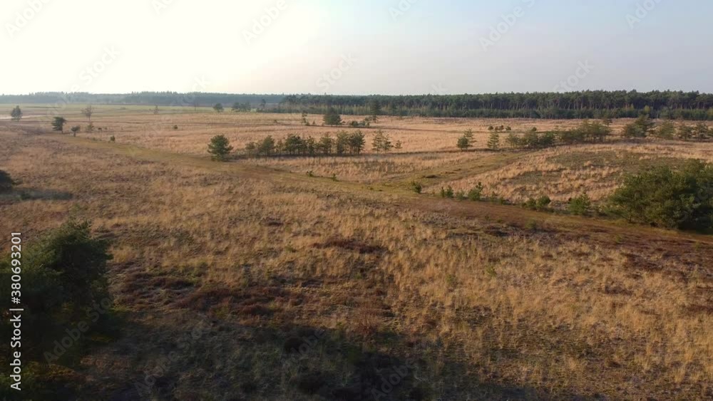 Savanna lands of Belgium with the look of africa Savanna lands of Belgium with the look of africa