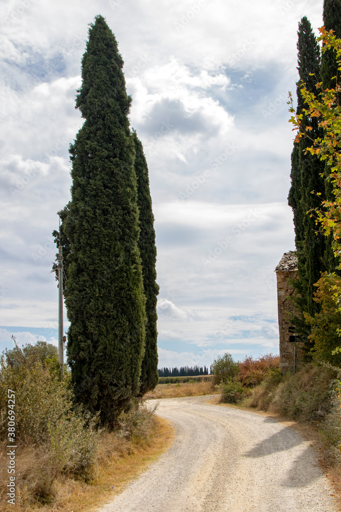 Fototapeta premium san quirico d'orcia