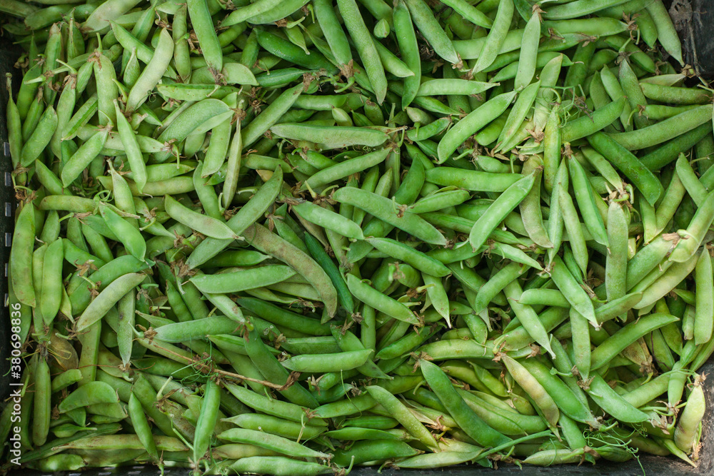many unpeeled peas in a box top view many unpeeled peas in a box top view