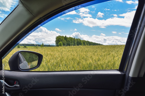 view of the wheat field in the car window