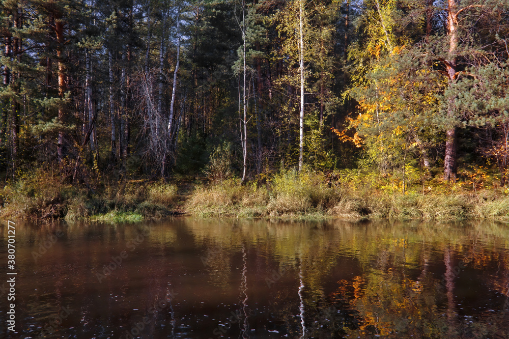 Summer landscape, forest trees are reflected in calm river water against a background of blue sky and white clouds. Summer landscape, forest trees are reflected in calm river water against a background of blue sky and white clouds.