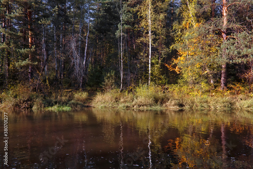 Summer landscape, forest trees are reflected in calm river water against a background of blue sky and white clouds.
