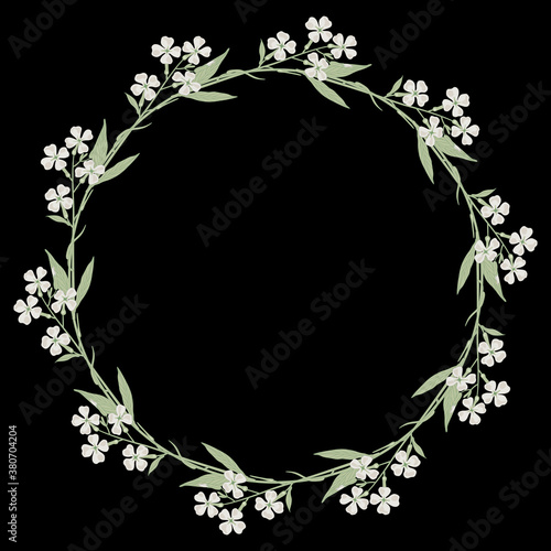Round floral decor or frame. Wreath of white flowers. Hesperis Alba flower. Dame's Rocket. Sweet Rocket.