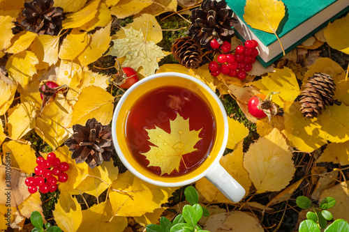A cup of fresh hot tea is among the autumn leaves, cones, berries, rose hips. Concept for natural drinks, hiking, camping, autumn season. View from above.