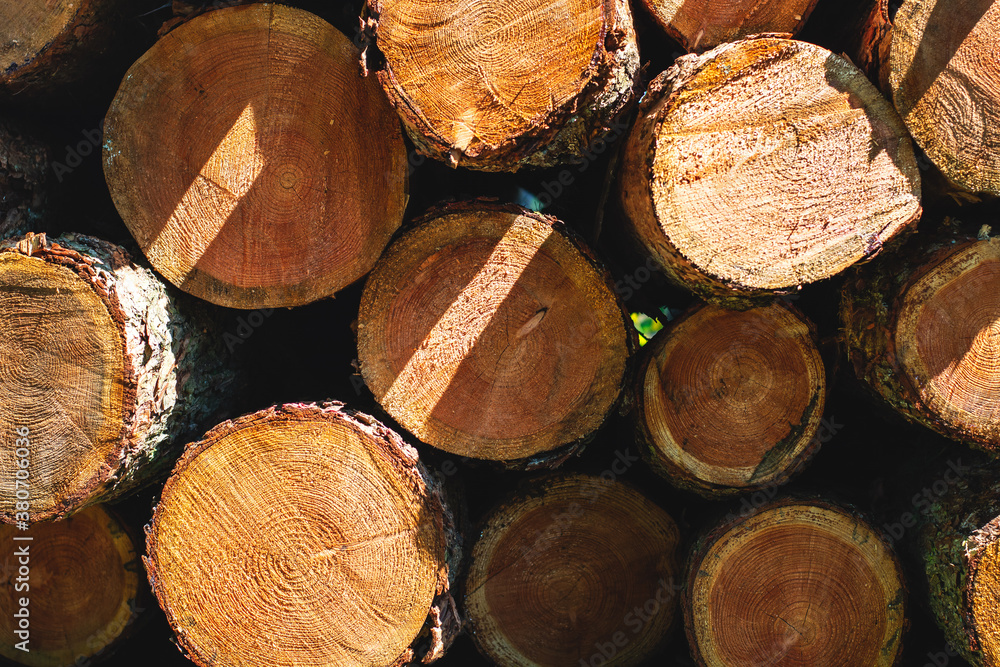 Pile of cut tree trunks stacked on top of each other, wood logs structure Pile of cut tree trunks stacked on top of each other, wood logs structure