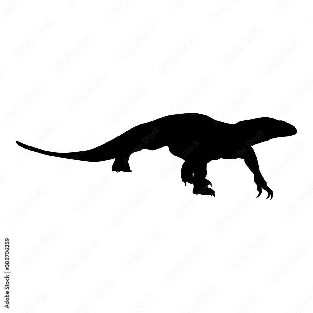Walking Monitor Lizard (Varanus Indicus) On a Side View Silhouette Found In Map Of Africa, Asia And Oceania. Good To Use For Element Print Book, Animal Book and Animal Content