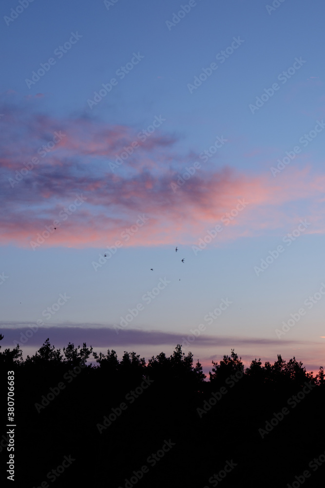 Fototapeta premium Early sunrise over the forest with orange and pink clouds.