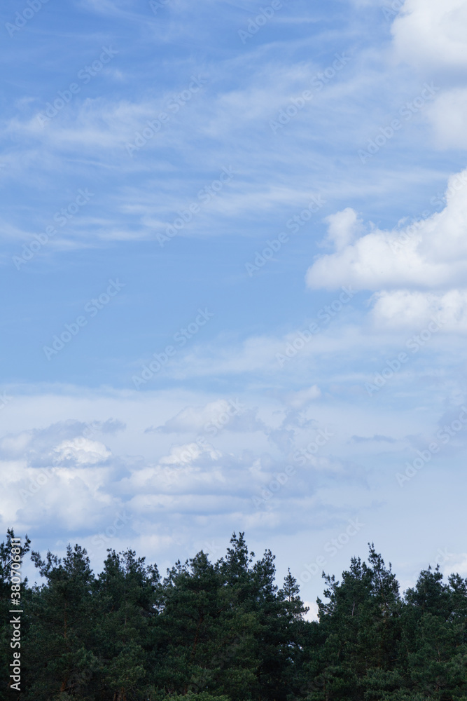 Dramatic stormy cumulus clouds above the top of the forest trees. Dramatic stormy cumulus clouds above the top of the forest trees.