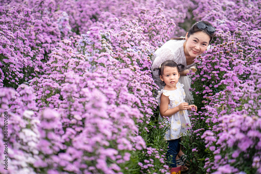 Mother and daughter walking at Beautiful blossom Violet Margaret Flower field.