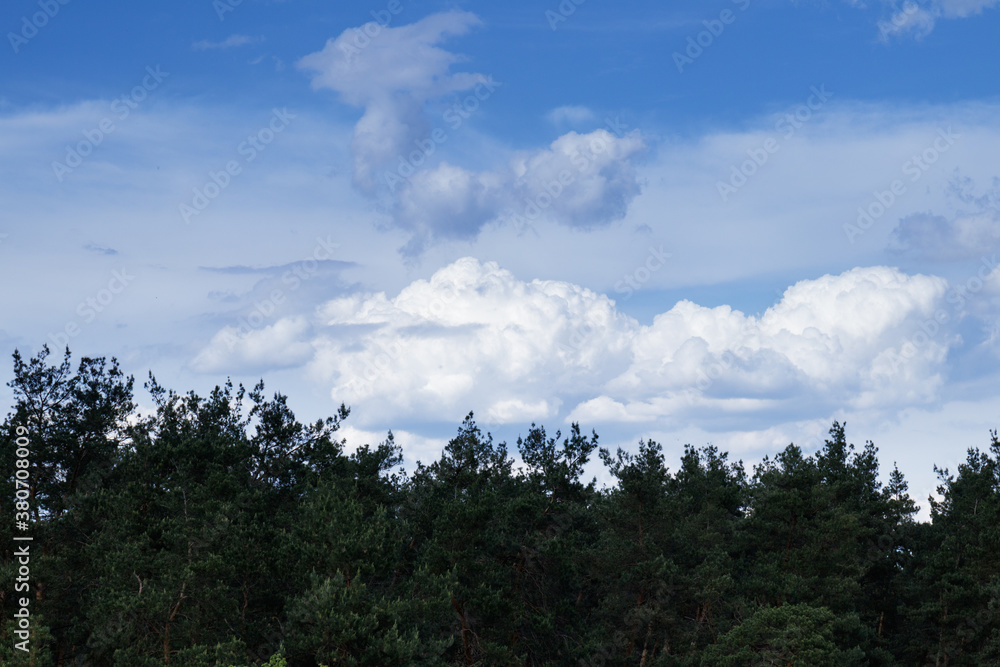 Dramatic stormy cumulus clouds above the top of the forest trees.