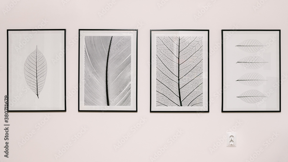 Abstract BW photographs against a pink wall