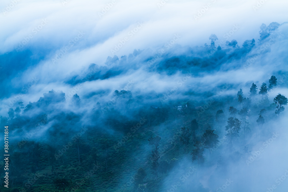 Obraz premium Fog waves in Ella gap between Ella rock & Little adam's peak in Sri Lanka