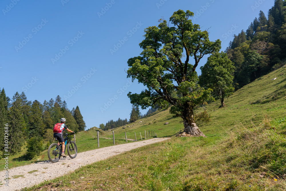nice senior woman riding her electric mountain bike in the Allgau Alps near Oberstdorf, Bavaria, Germany