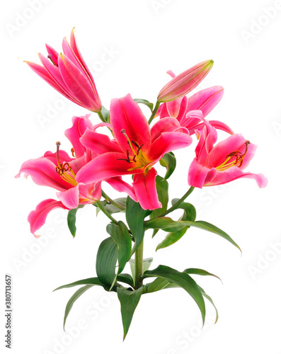Bouquet of red lilies.