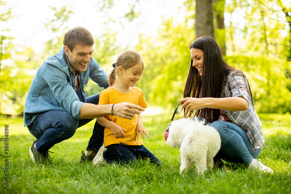 Fototapeta premium Beautiful happy family is having fun with bichon dog outdoors