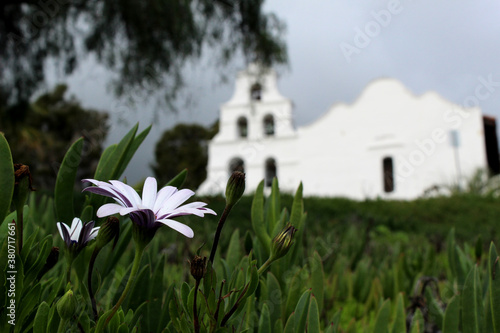 Daisy and a Spanish Mission