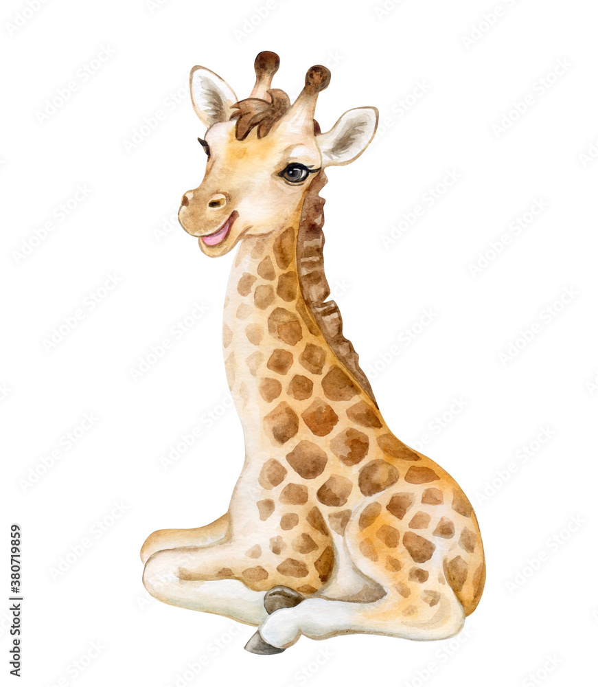 Cute giraffe cub isolated on white background. Giraffe baby ...
