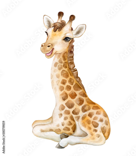 Photography Cute giraffe cub isolated on white background