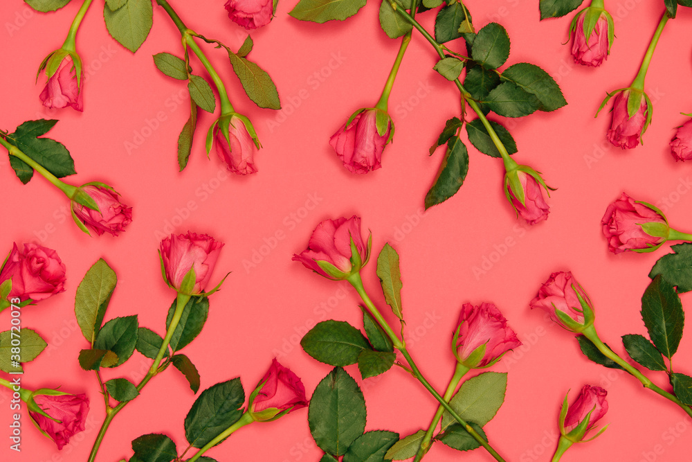Pink roses background Pink roses background