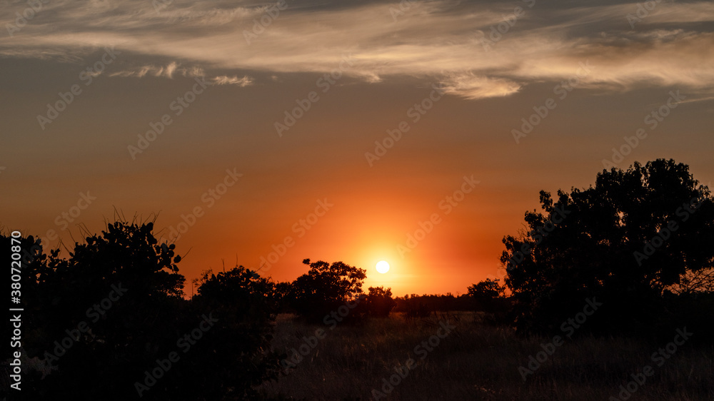 Sunset in wild nature dark trees silhouettes and vivid orange cloudy scenic sky in warm autumn colors