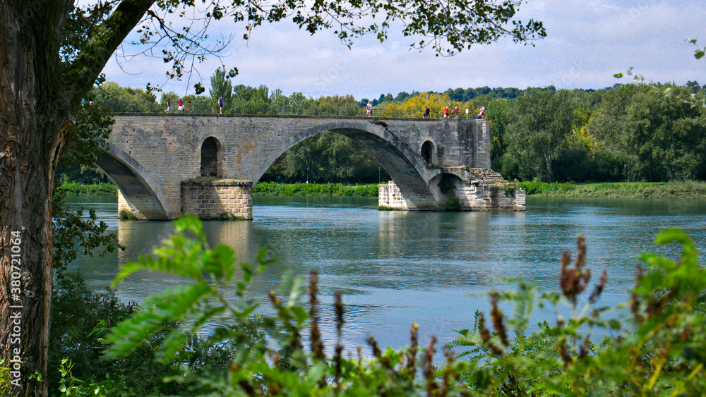 Fototapeta premium Pont Saint-Bénézet